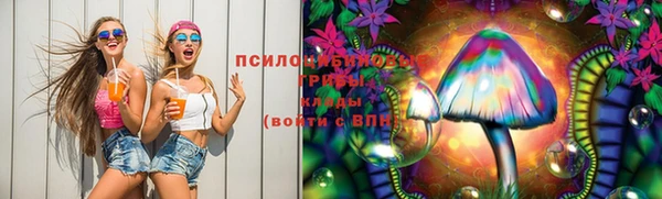 гидропоника Алзамай