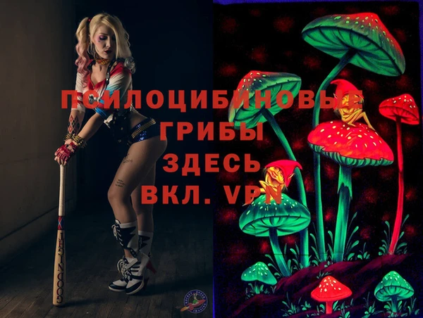 индика Дмитриев