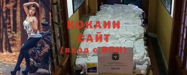 гидропоника Алзамай