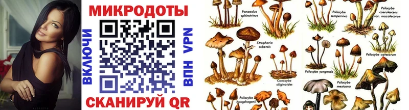 купить наркотик  Чёрмоз  Псилоцибиновые грибы мицелий 
